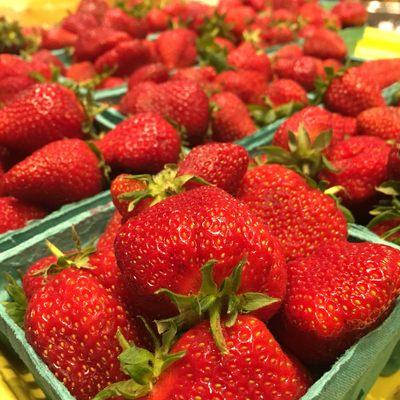 Lancaster county Fresh strawberries.