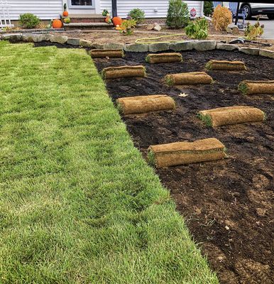 Sod Installation