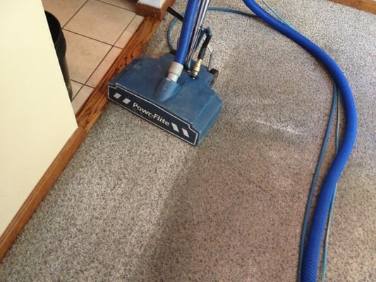 Power Scrubbing for the dirtiest carpets