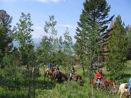 Horseback Riding