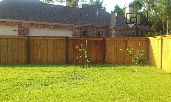 Back interior of 300' fence in Lauren Falls Biloxi