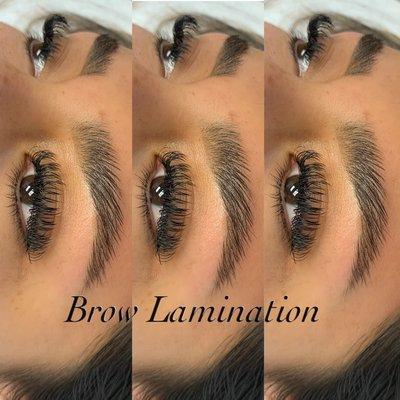 Brow Lamination