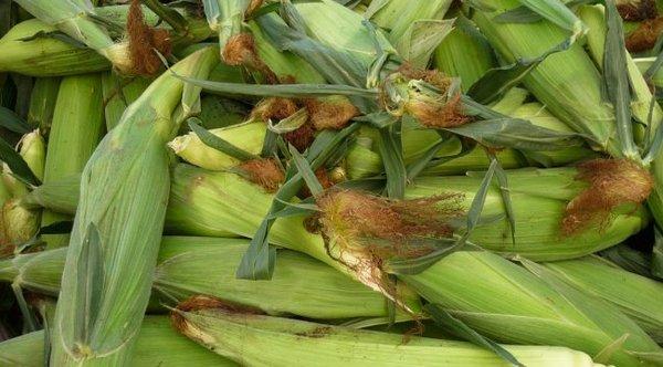 Local and Yakima corn is the best!