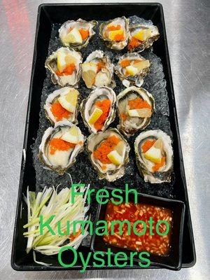 Fresh Kumamoto Oysters (Dozen)