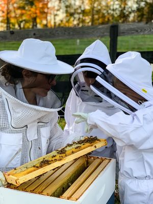 Private Beekeeping Lesson at AOOA Farm.