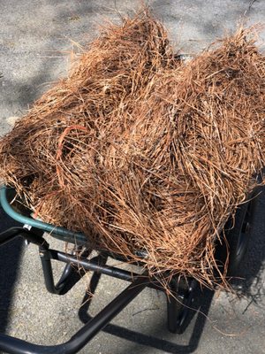 Pine straw mulch