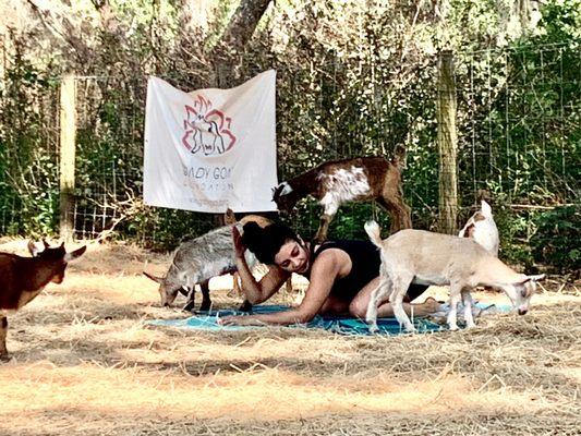 Instructor with goats