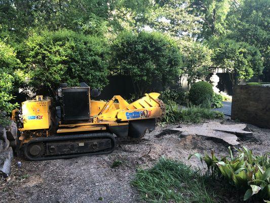 Stump Grinding in Prattville