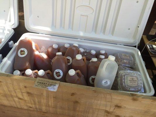 Cold pressed cider sold outside