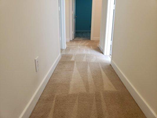 Carpet Cleaning-Hallway-Henrico-Virginia-2019