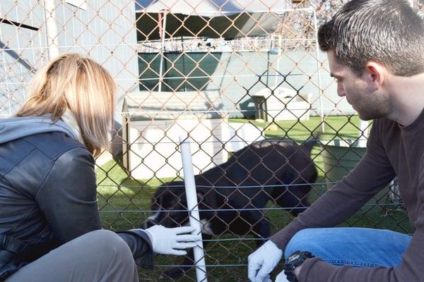 Nick & Laura at the Humane Society.