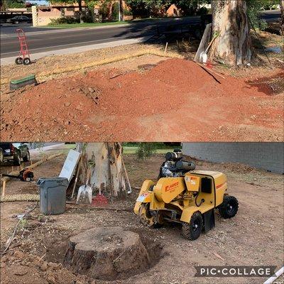 Green Desert Stump Grinding