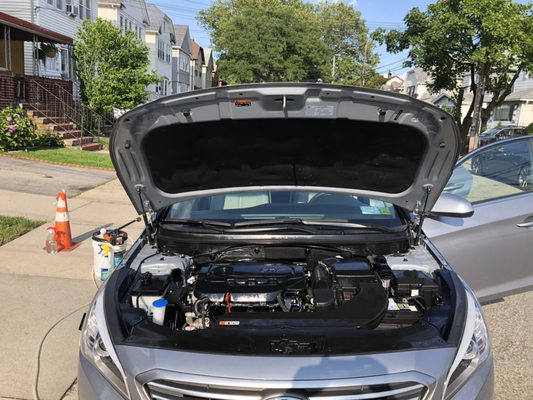 Engine Bay Detail.  The dressing made it even pop better than expected.  Now you can even eat sushi off of it.