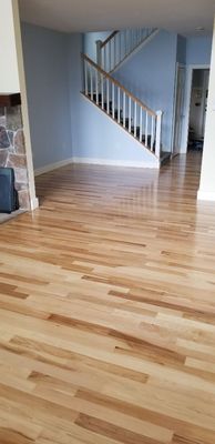 Woodman Floor Sanding Lakeside