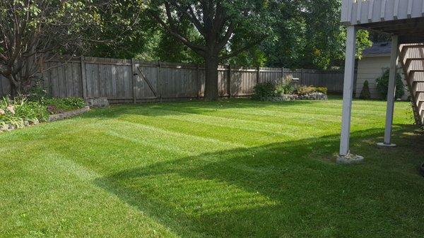 Residential Lawn Care Services