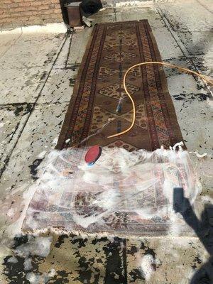 Generally Washing an Antique Russian Shirvan Runner Rug by Oriental &Persian Rug Cleaning Repair Darmany