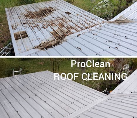 Tampa Bay Roof Cleaning