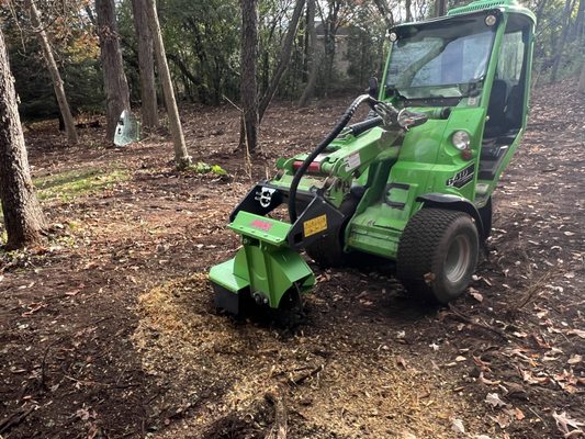 stump grinding