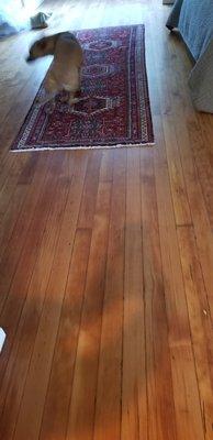 Doug Fir floors: completely refurbished.