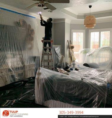 Mold remediation services