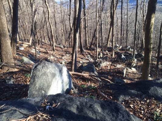 Boulder fields