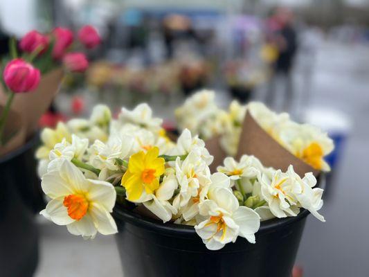 Chapel Hill Farmers Market