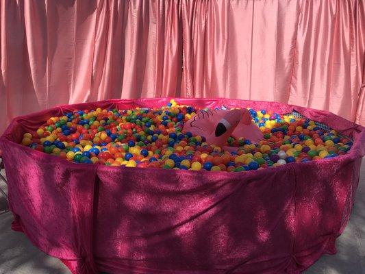 Ball pit in decorated enclosure