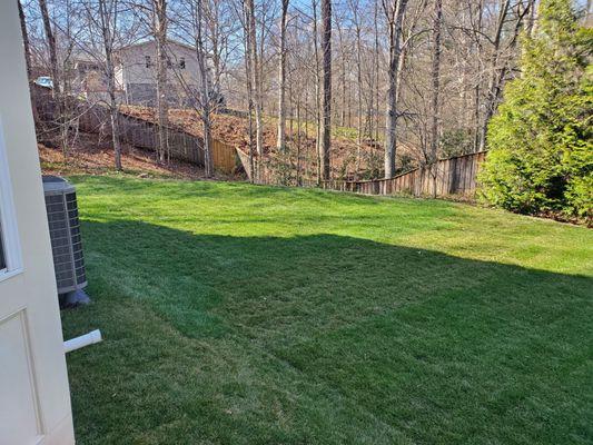 French drains and leveled yard with sod