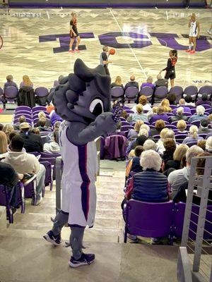 TCU Mascot