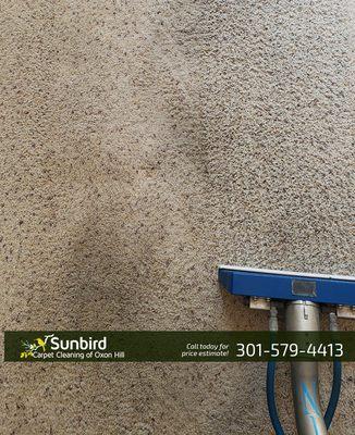 Sunbird Carpet Cleaning of Oxon Hill