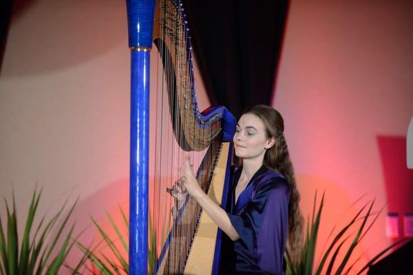 Blue electroacoustic harp