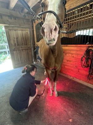 Cobblestone PEMF also offers red light therapy.
Call today for an appointment 
(508) 274-7142