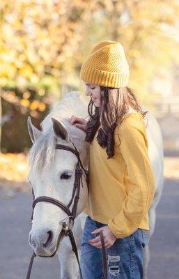 Equine Portraits