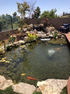 These are the type of ponds we specialize in.