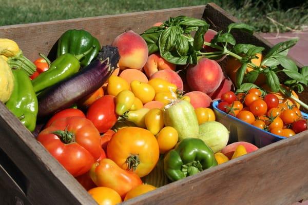 A wide variety of organically grown produce picked fresh for you each week.