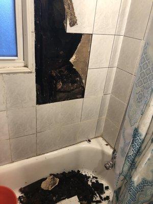 Bathroom wall and studs were rotten from roof leak and fell down