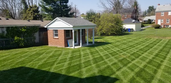 Mowing, edging, weedeating, and blowing