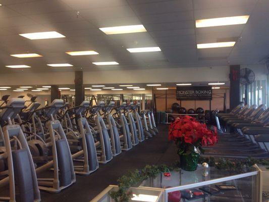 Plenty of cardio machines