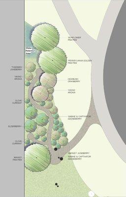 Permaculture food forest design