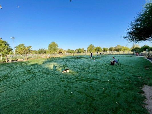 Lush grass after all the rain last week