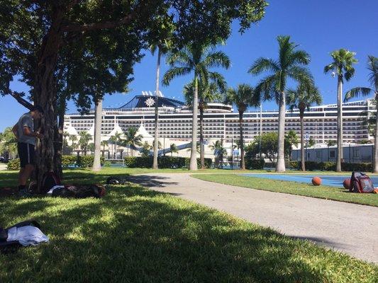 You can relax under a tree while the cruise ships move in and out