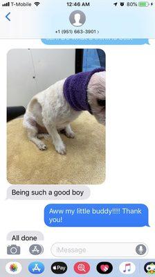 Received this text halfway through the appointment and it really put me at ease to see that my anxious puppy was ok!!