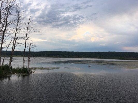 Arcadia Marsh