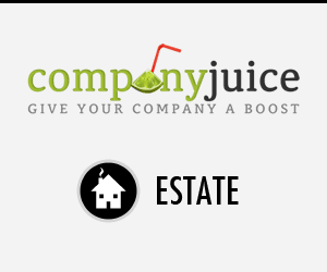 Company Juice Real Estate Web Design