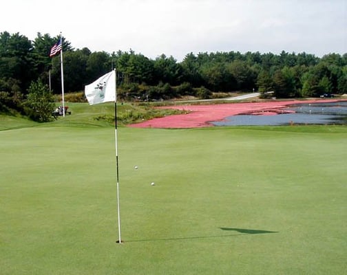 The eighteenth green.  I can smell the burgers from here.