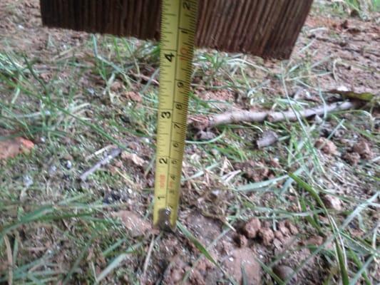 This is how high my fence was from the ground, the gap was larger and smaller in some areas.  4 inches.