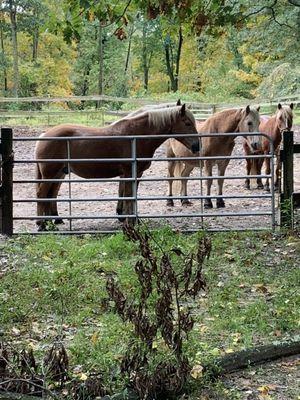 Ironstone Farm