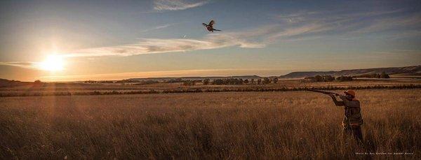 Buffalo Butte Ranch