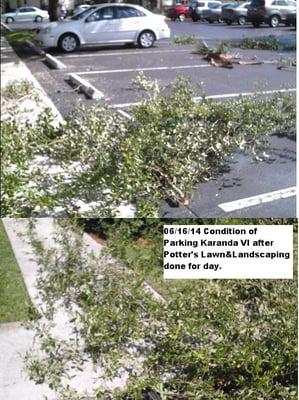 Left a mess in parking lot and sidewalk,  UPS almost did nor deliver because sidewalk blocked by debris. Could not park cars.