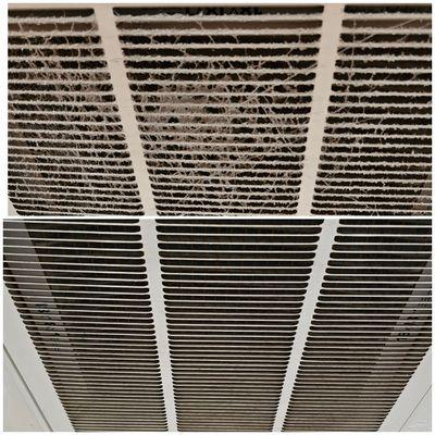 Inside air filter grate